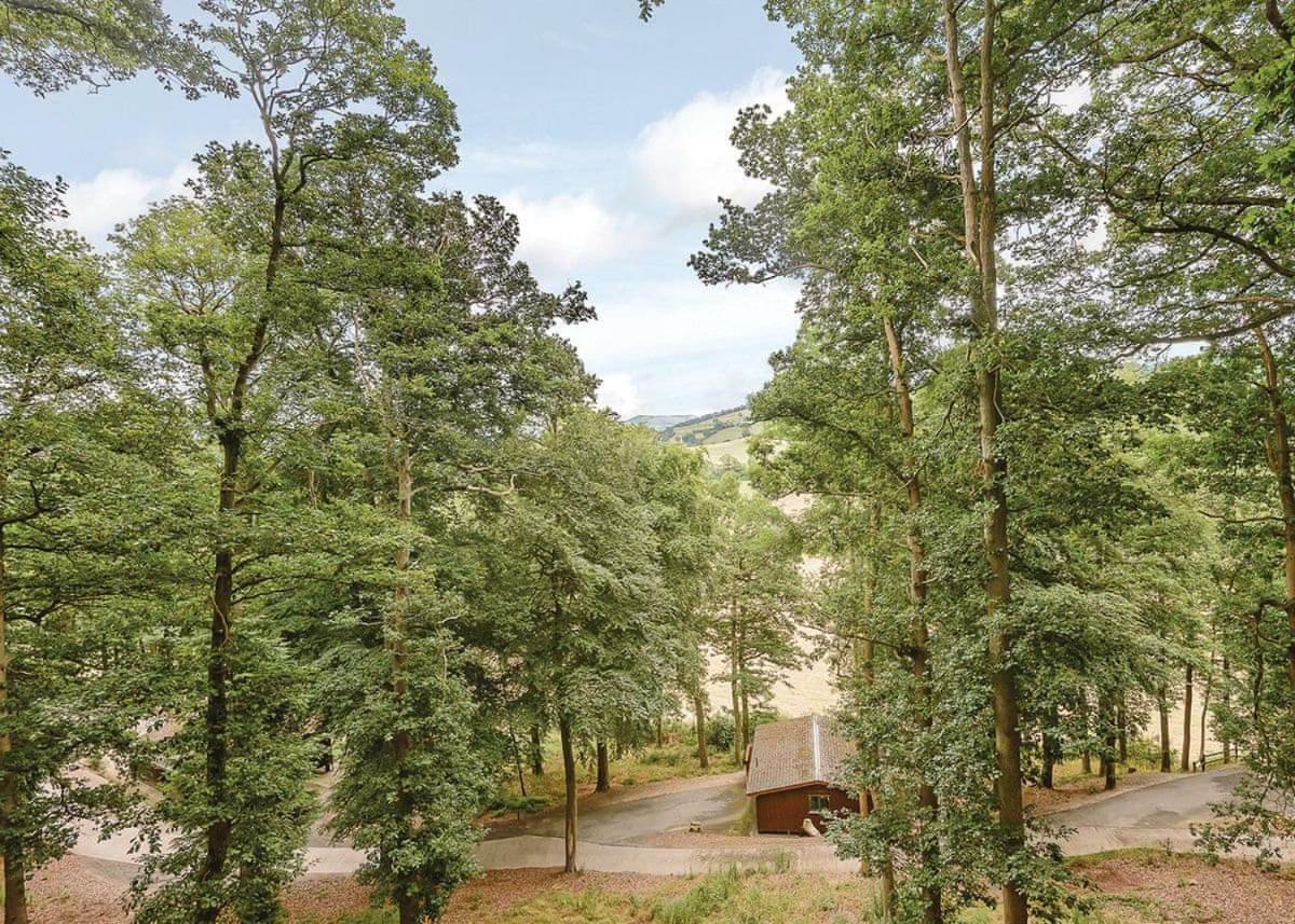 Penllwyn Lodges มอนต์โกเมอรี ภายนอก รูปภาพ